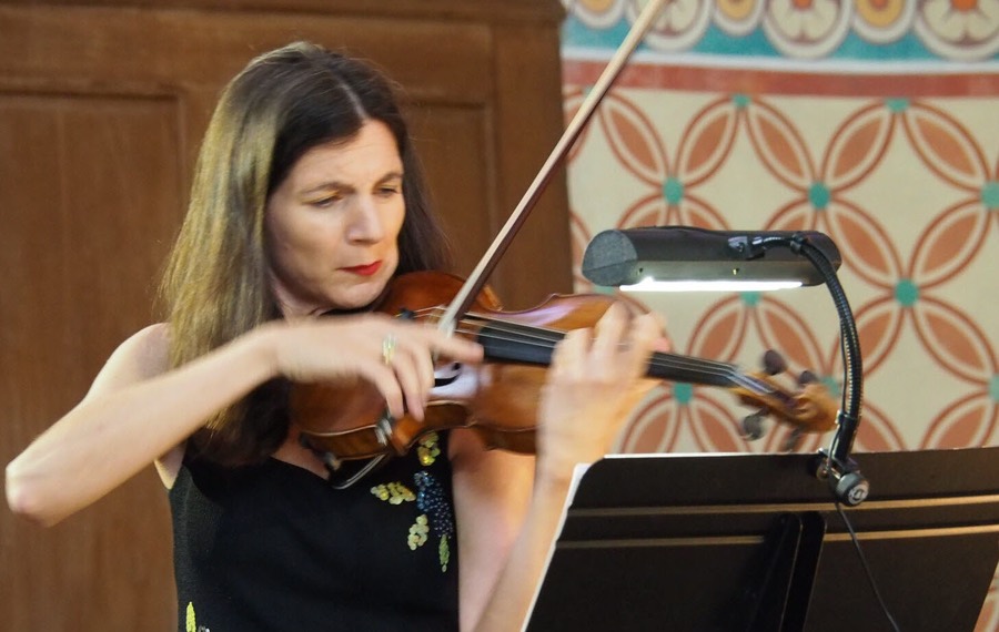 instrumentiste violon